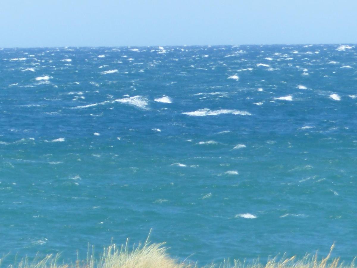 Belle Vue Sur Mer Au Calme Argelès-sur-Mer Εξωτερικό φωτογραφία